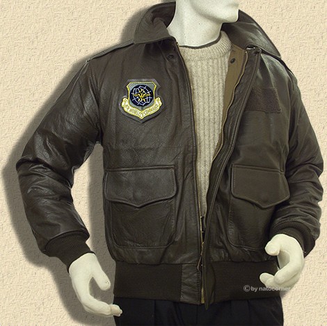 A-2 pilot jacket -never seen like this