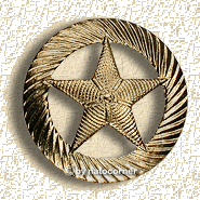Badge: German Navy captain commander -GOLD-